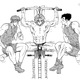 Fortitude Training