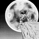 Crescent Moon
