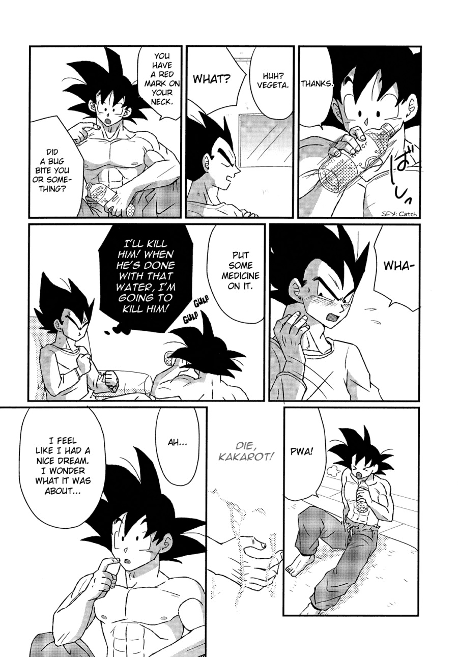 Next Page
