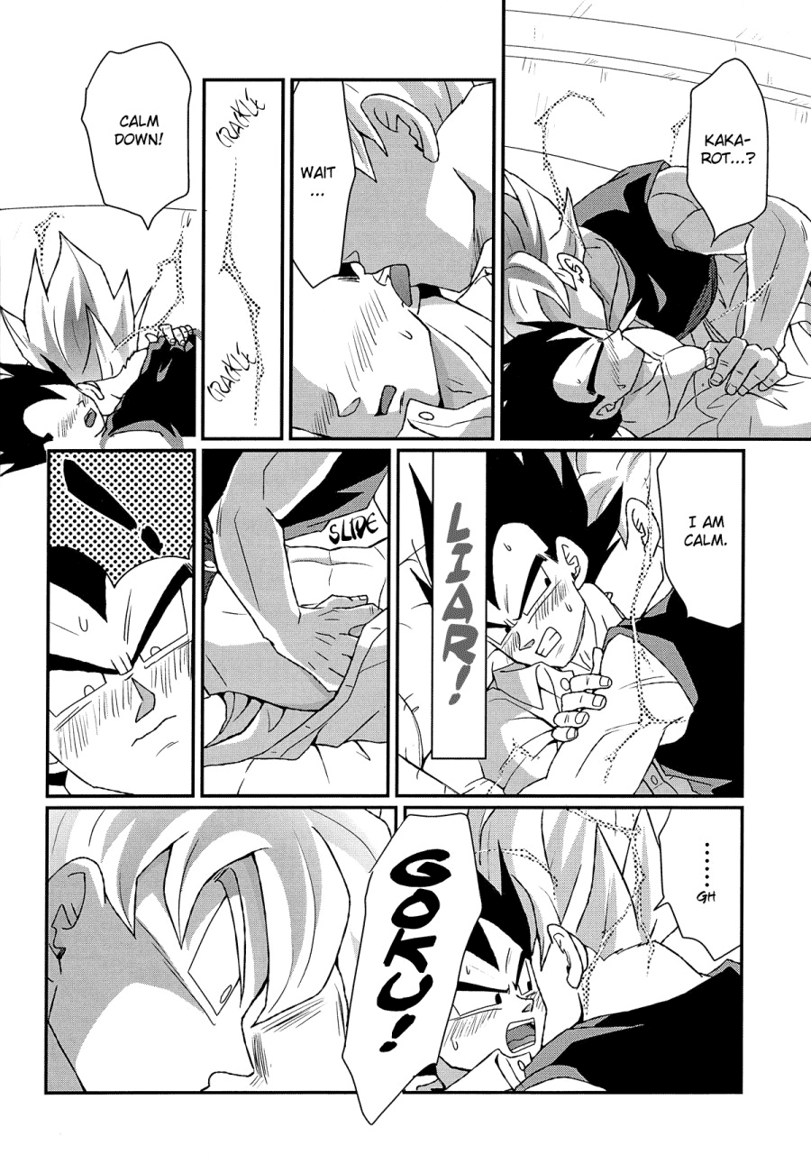 Next Page