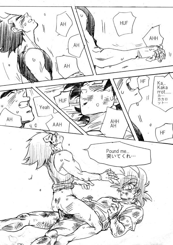 Next Page