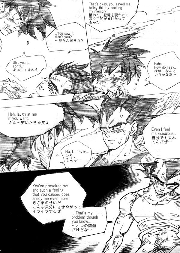 Next Page