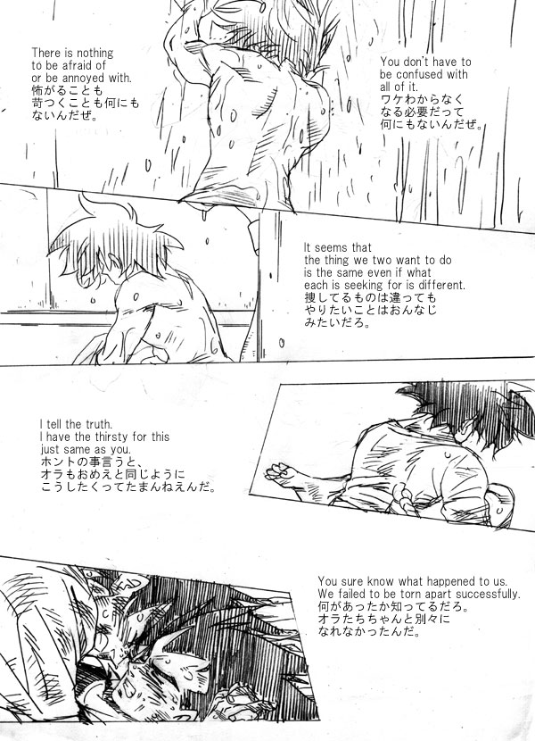 Next Page