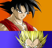 Goku Vs. Vegeta