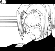 Trunks