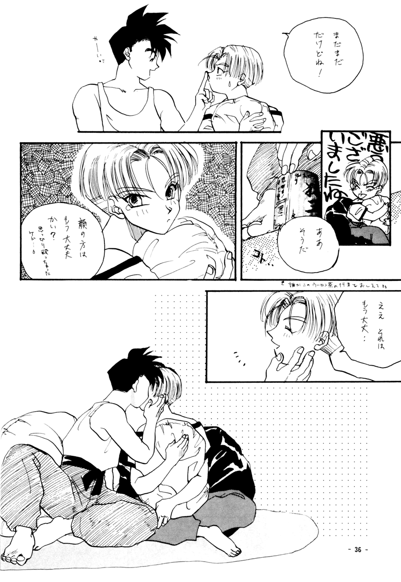 Next Page