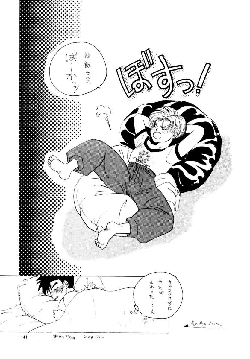 Next Page