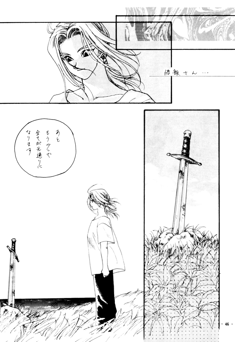 Next Page