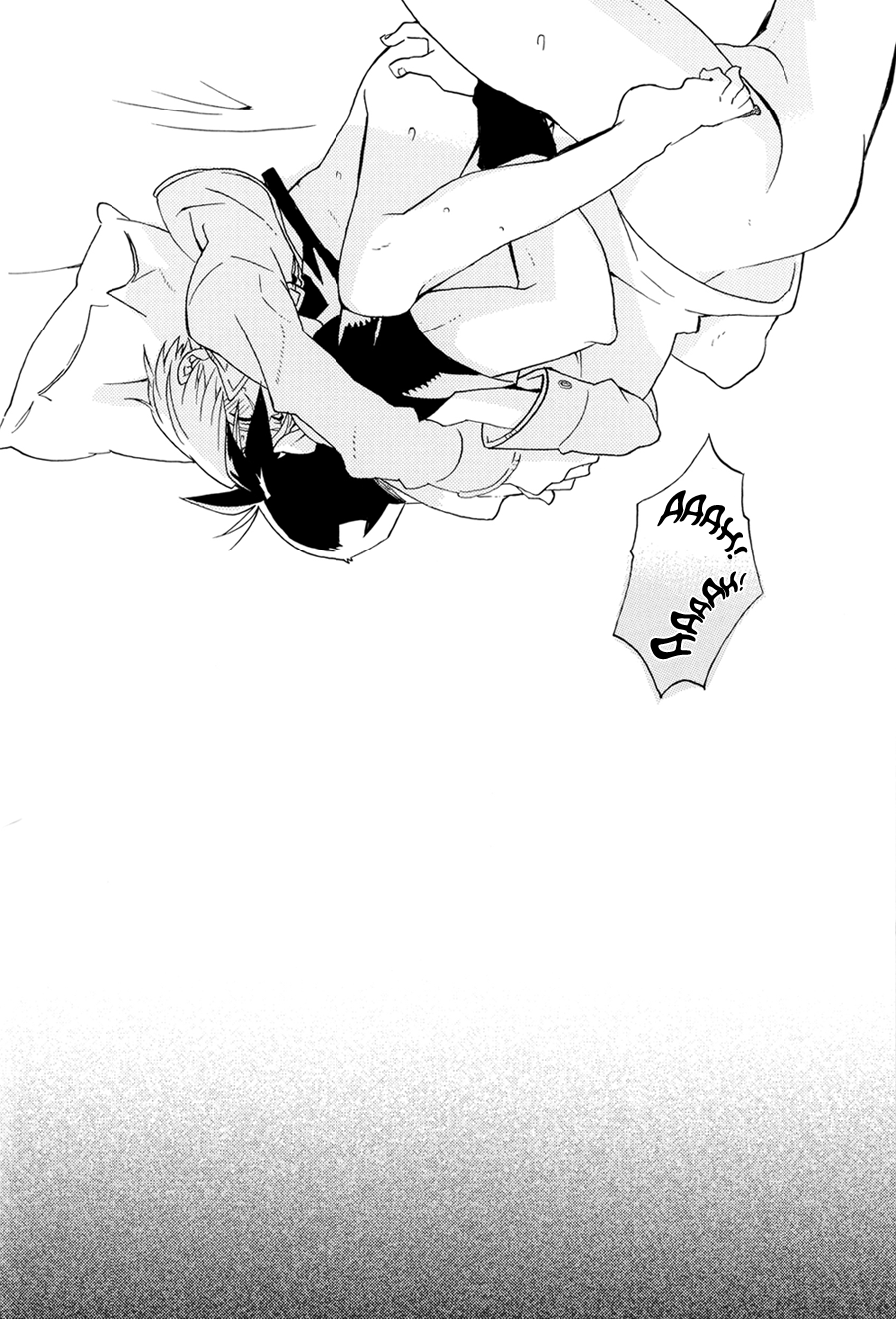 Next Page