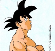 Goku's Tail