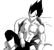 Prince of all Saiyans