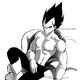 Prince of all Saiyans