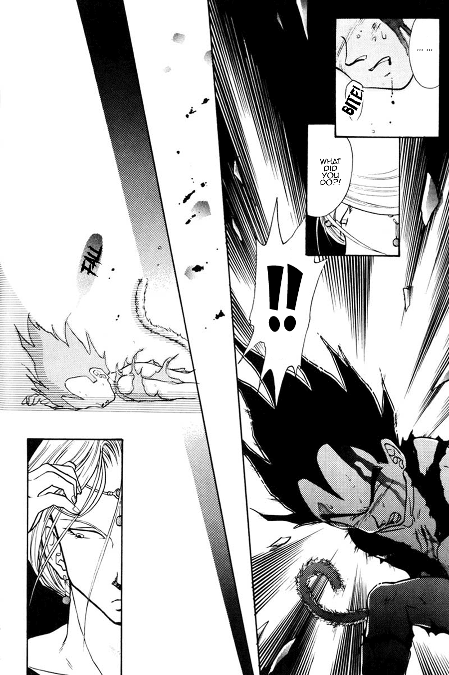 Next Page