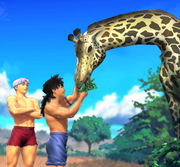 109 : Feeding the Giraffe