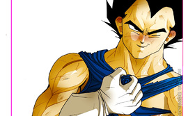 Bare All Vegeta