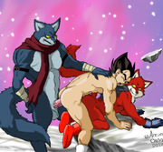 Tournament of power: the Wolves