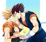 Vegetto loves Gogeta