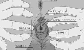 Intersexed Saiyan Close Up