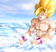 Goku and Vegeta Water Splash by Maetel — Old Web Kakavege Archive
