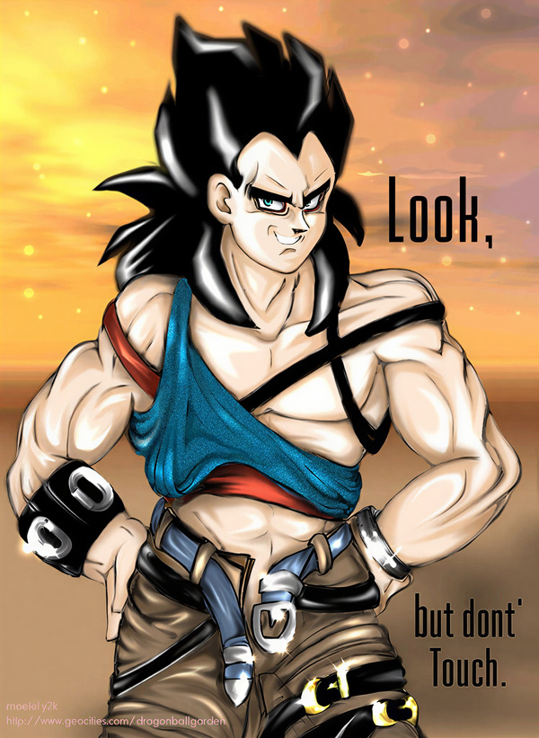Restored Maetel fanart of adult Vegeta posing alone with the phrase “Look, but don’t Touch” in a suggestive old web Solo Saiyan archive portrait.