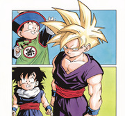 Gohan Artbook Scan — Dragon Ball Z Saiyans and Friends Visual Reference